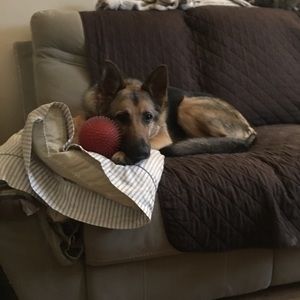 Meet your Posher, Marybeth